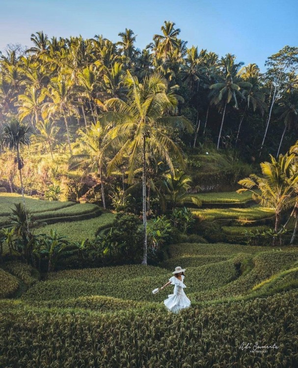 Ubud Half Day Private Instagram Tour | ®ExcursionMania