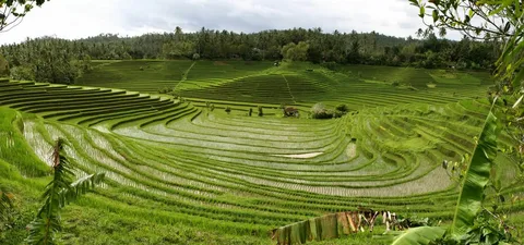 Full-Day Tour to Water Temples and UNESCO Rice Terraces in Bali | ®ExcursionMania