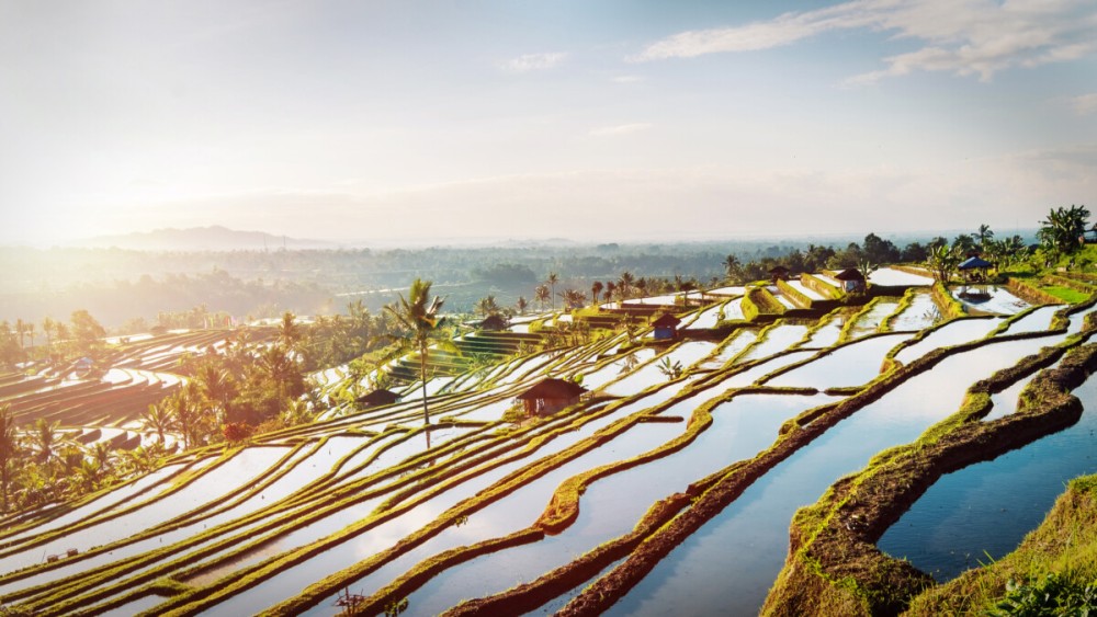 Full-Day Tour to Water Temples and UNESCO Rice Terraces in Bali | ®ExcursionMania