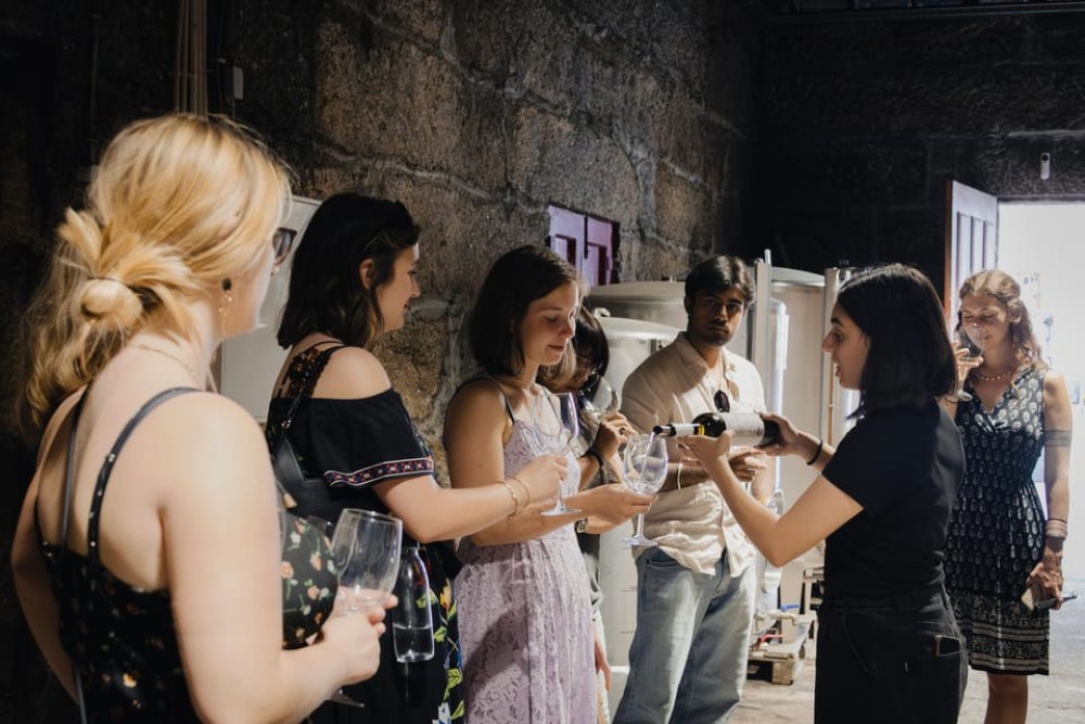 Porto: Douro Valley Wine Tour with a Sommelier & Boat Trip | ®ExcursionMania