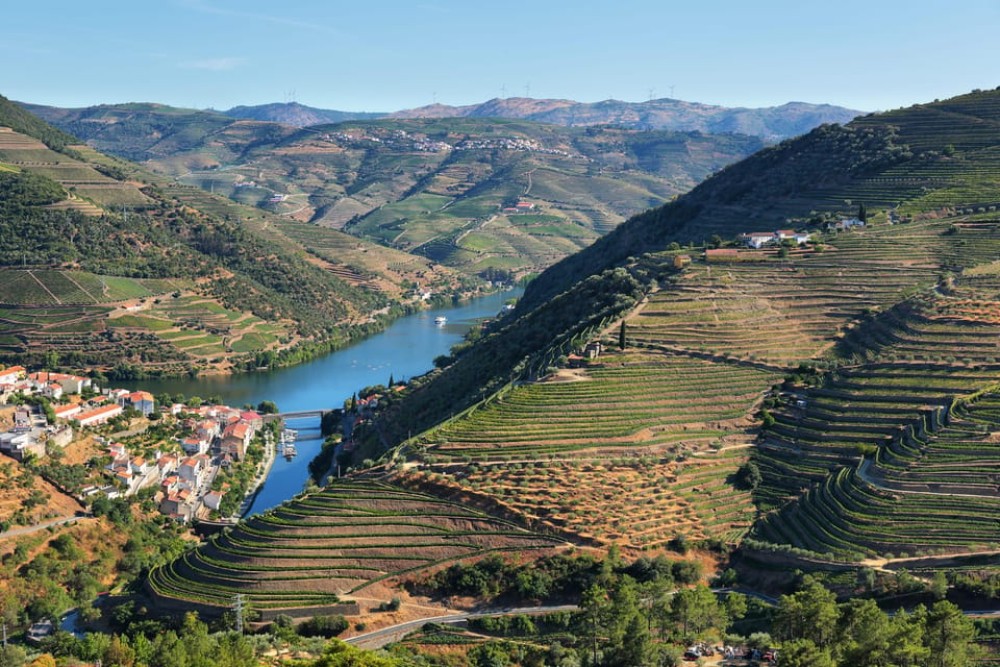 Porto: Douro Valley Wine Tour with a Sommelier & Boat Trip | ®ExcursionMania