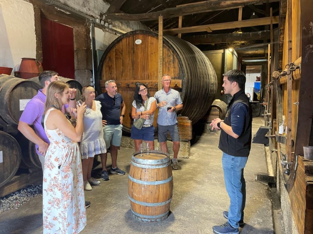 Porto: Douro Valley Wine Tour with a Sommelier & Boat Trip | ®ExcursionMania