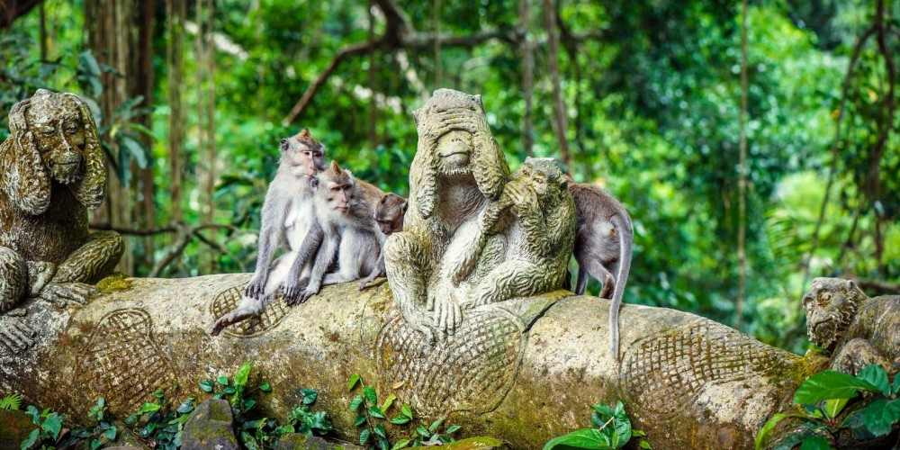 Best of Bali 3-Day Packaged Tour | ®ExcursionMania