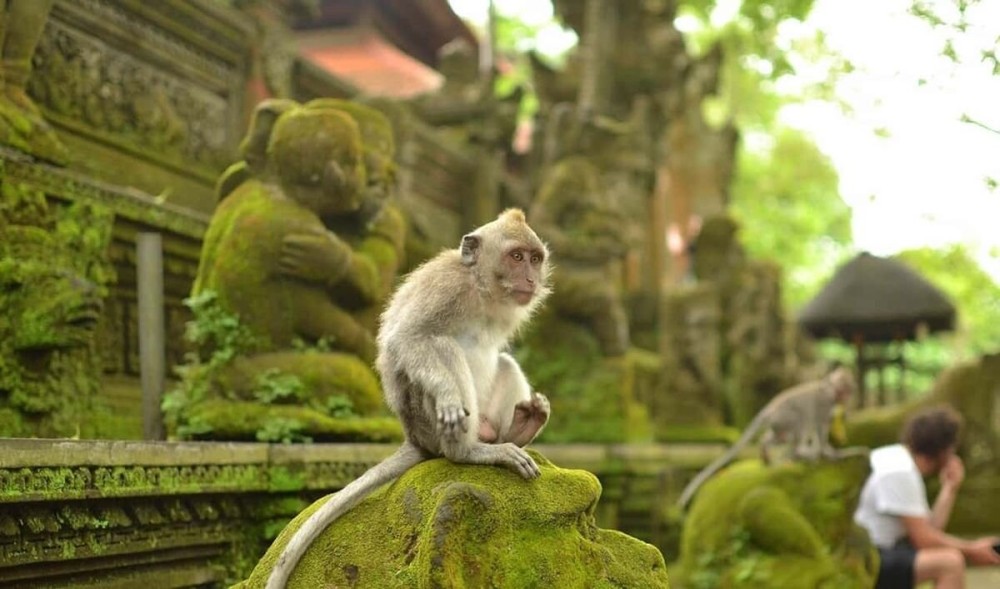 Best of Bali 3-Day Packaged Tour | ®ExcursionMania