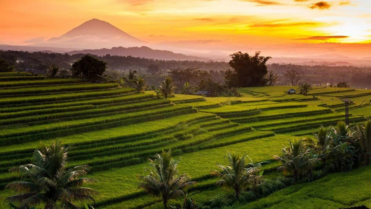 Best of Bali 3-Day Packaged Tour | ®ExcursionMania