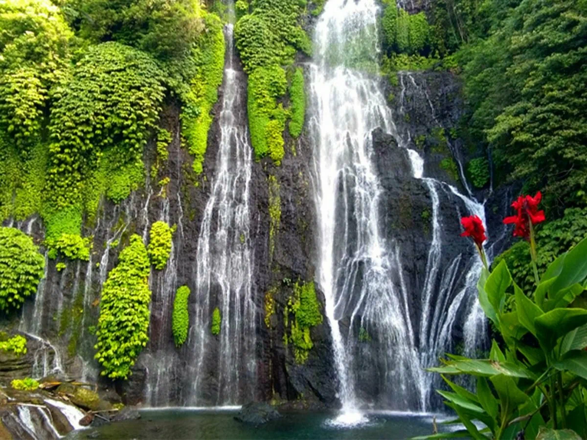 Private Full-Day West Bali Tour with Waterfall Visit | ®ExcursionMania