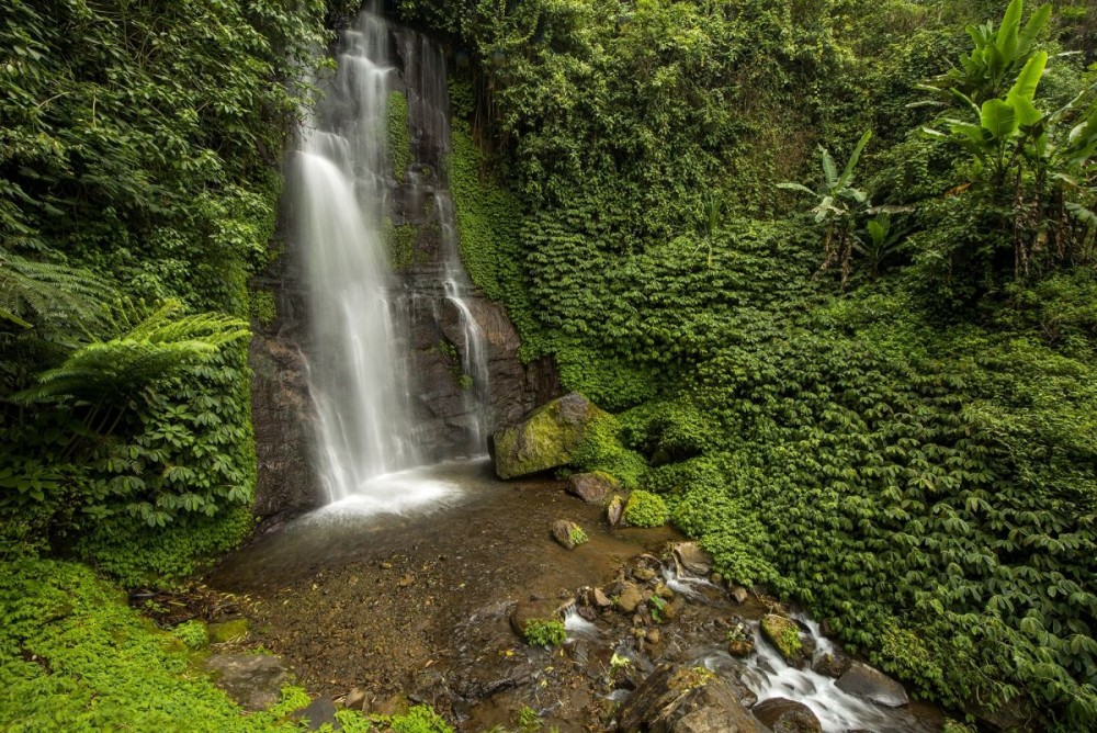 Private Full-Day West Bali Tour with Waterfall Visit | ®ExcursionMania
