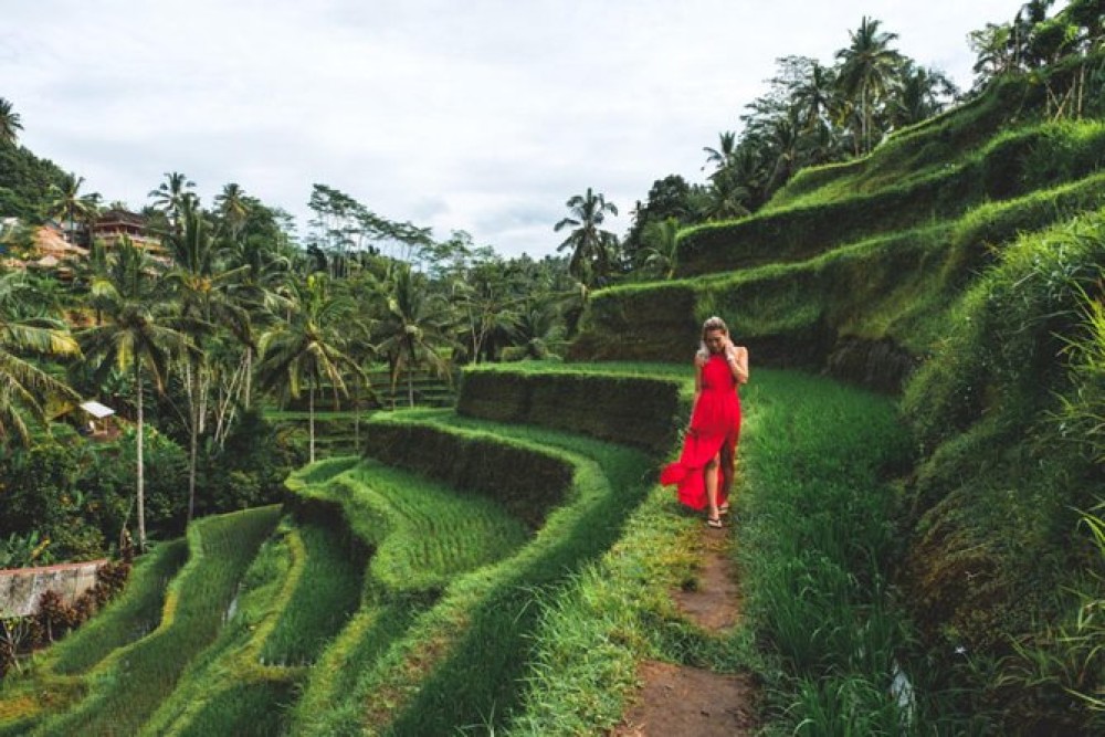 Ubud Customized Full Day Tour - Visit Most favorite In Ubud | ®ExcursionMania