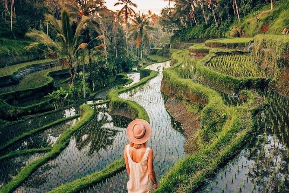 Ubud Customized Full Day Tour - Visit Most favorite In Ubud | ®ExcursionMania