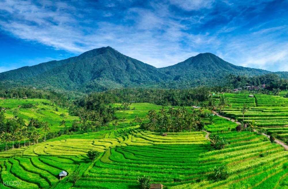 Private Full Day Tour: Best UNESCO Sites in Bali | ®ExcursionMania