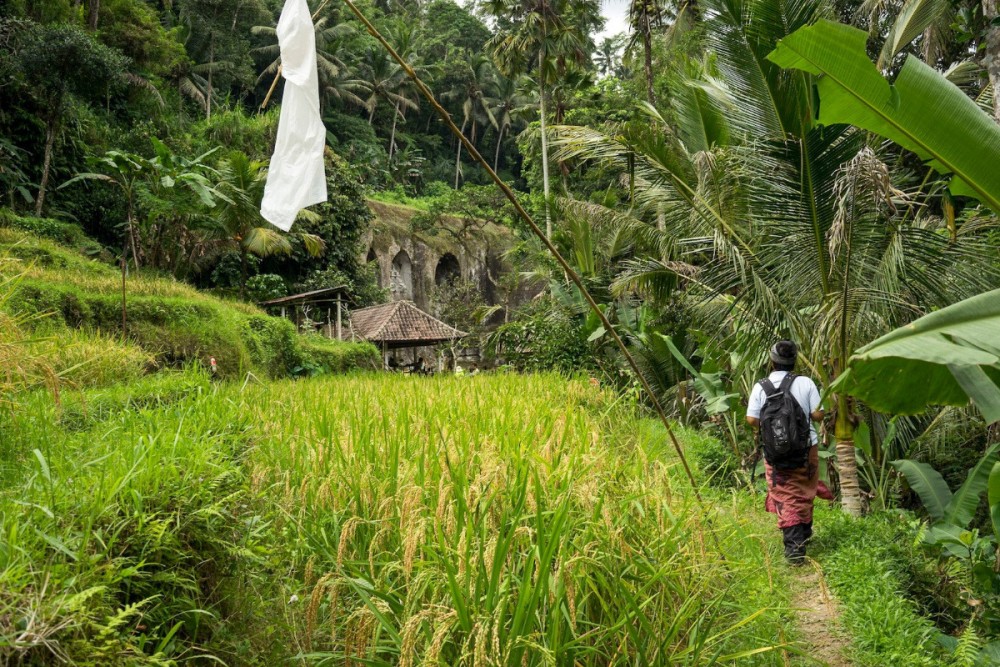 Private Full Day Tour: Best UNESCO Sites in Bali | ®ExcursionMania