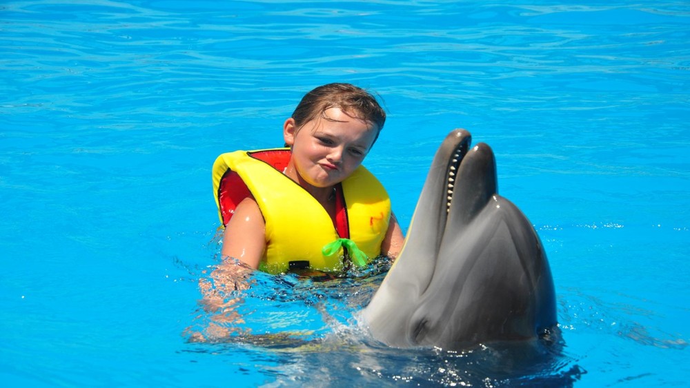 Alanya: Dolphin & Seal Show Ticket with Hotel Transfer | ®ExcursionMania