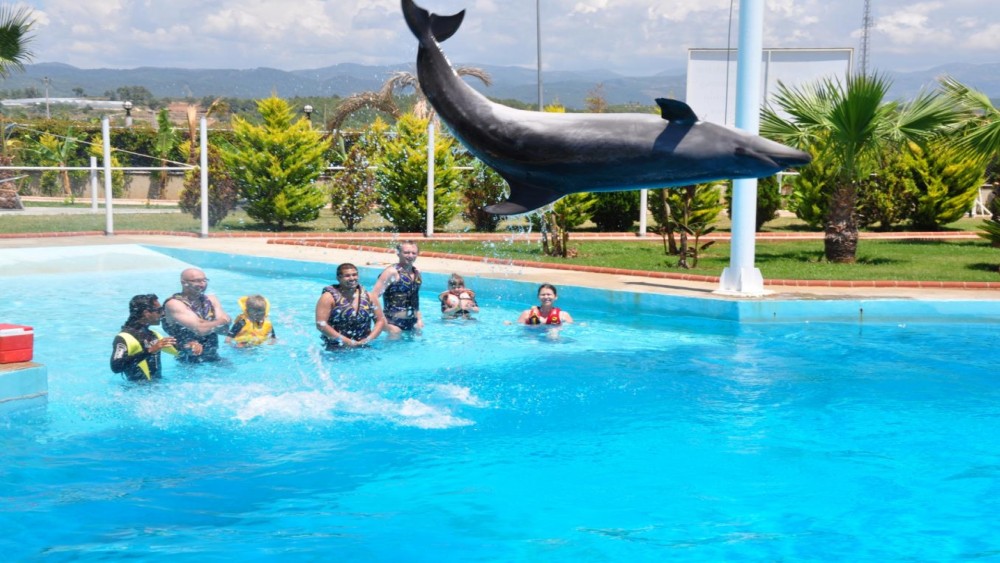 Alanya: Dolphin & Seal Show Ticket with Hotel Transfer | ®ExcursionMania