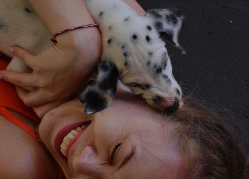 Bali: Canggu & Ubud Puppy Yoga Class with Refreshing Drinks | ®ExcursionMania