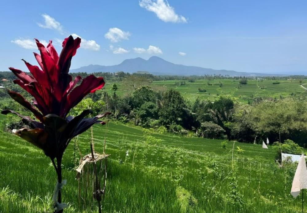 Tenganan Village Rice Field Trekking Tour | ®ExcursionMania