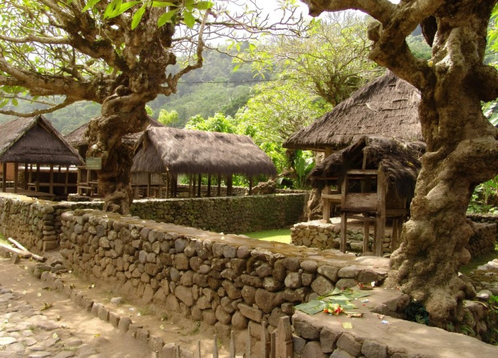 Tenganan Village Rice Field Trekking Tour | ®ExcursionMania