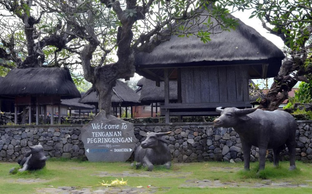 Tenganan Village Rice Field Trekking Tour | ®ExcursionMania