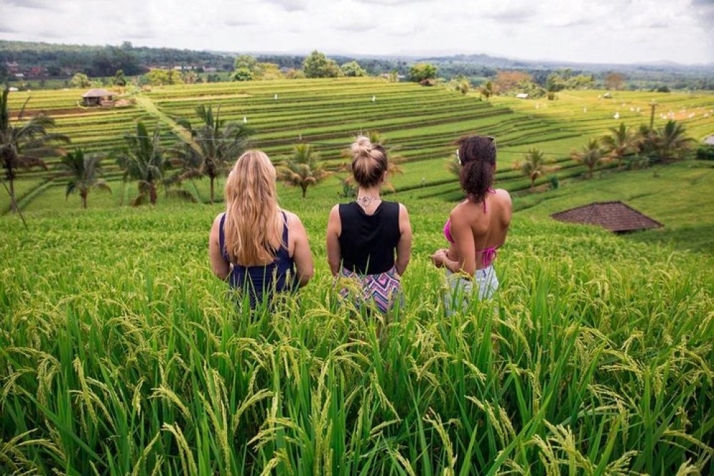 Private Bali Tour: The Most Scenic Places | ®ExcursionMania