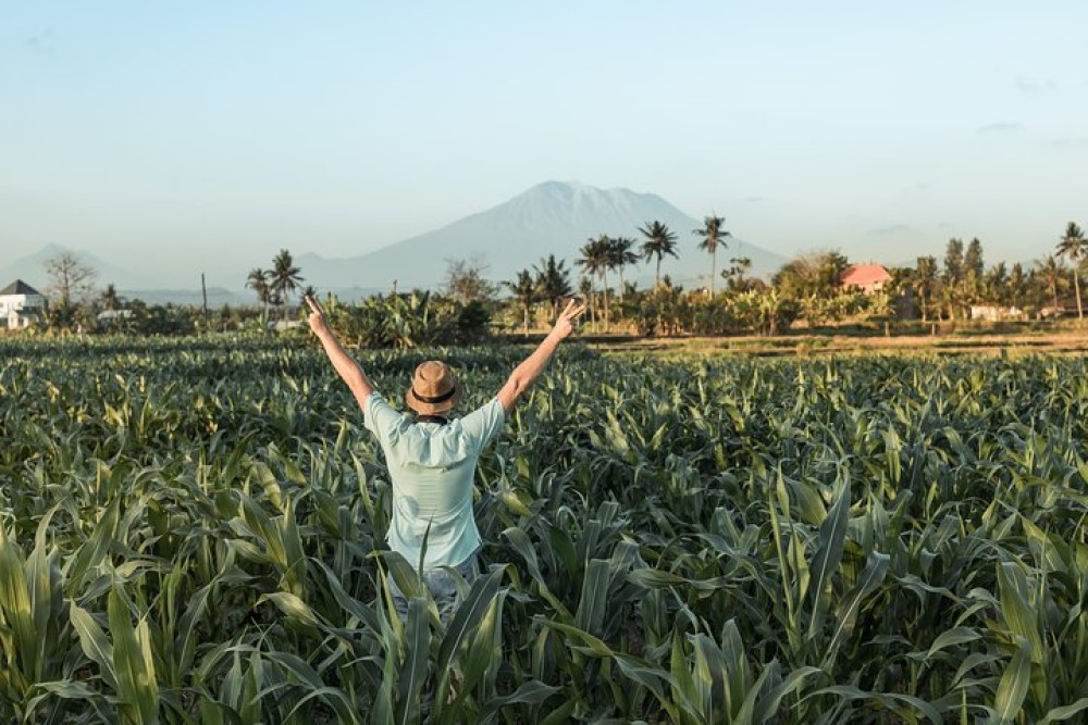 Highlights of Ubud & Mount Batur Volcano - Private Day Trip | ®ExcursionMania