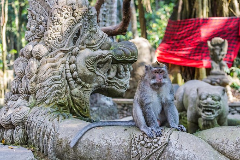 Highlights of Ubud & Mount Batur Volcano - Private Day Trip | ®ExcursionMania
