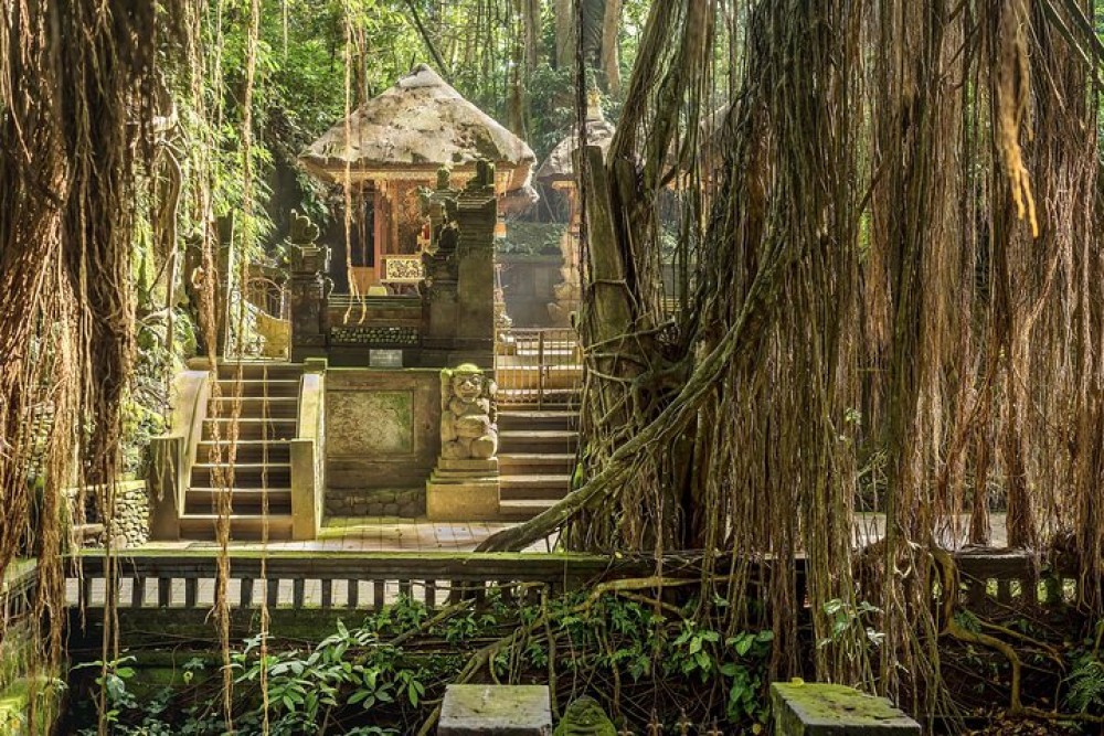 Ubud: Waterfall, Rice Terraces, and Monkey Forest Private Tour | ®ExcursionMania