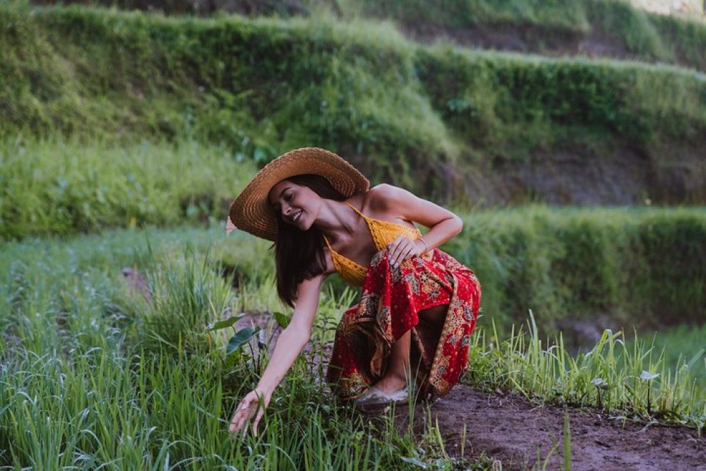 Ubud: Waterfall, Rice Terraces, and Monkey Forest Private Tour | ®ExcursionMania