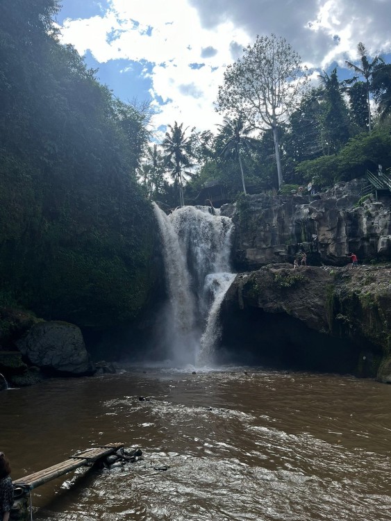 Ubud: Waterfall, Rice Terraces, and Monkey Forest Private Tour | ®ExcursionMania