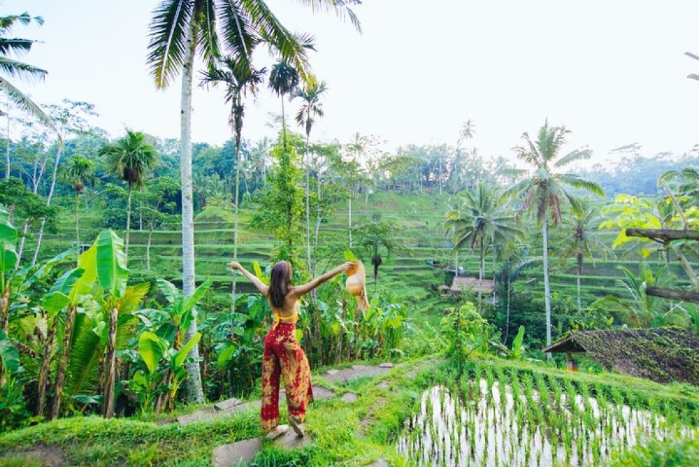 Ubud: Waterfall, Rice Terraces, and Monkey Forest Private Tour | ®ExcursionMania