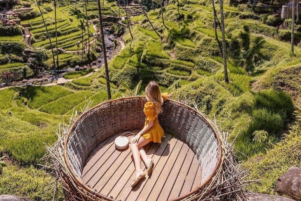 Best of Ubud Attractions: Private All-Inclusive Tour | ®ExcursionMania