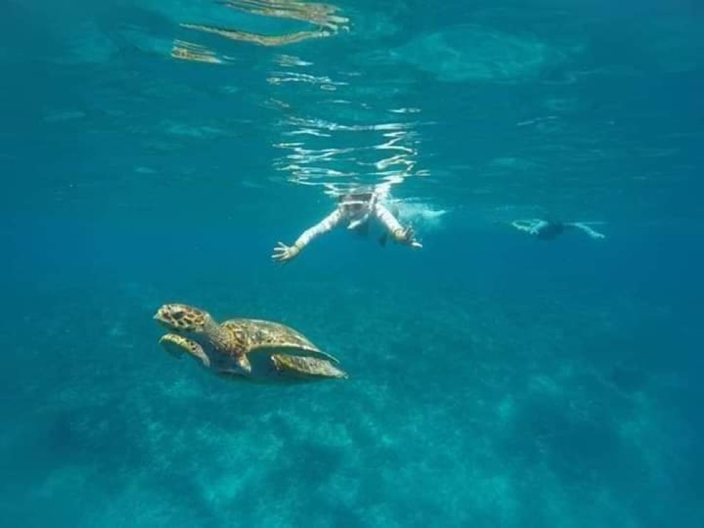 Blue Lagoon & Tanjung Jepun Beach Snorkeling Experience In East Bali | ®ExcursionMania