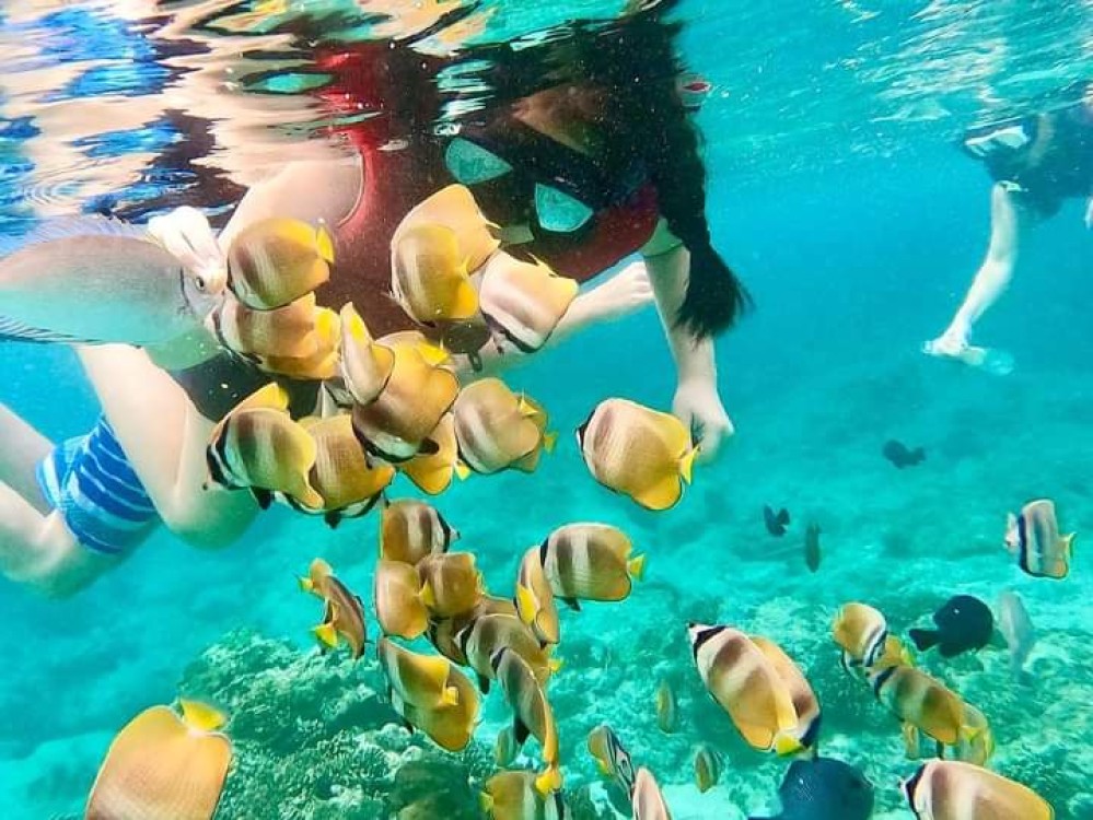Blue Lagoon & Tanjung Jepun Beach Snorkeling Experience In East Bali | ®ExcursionMania