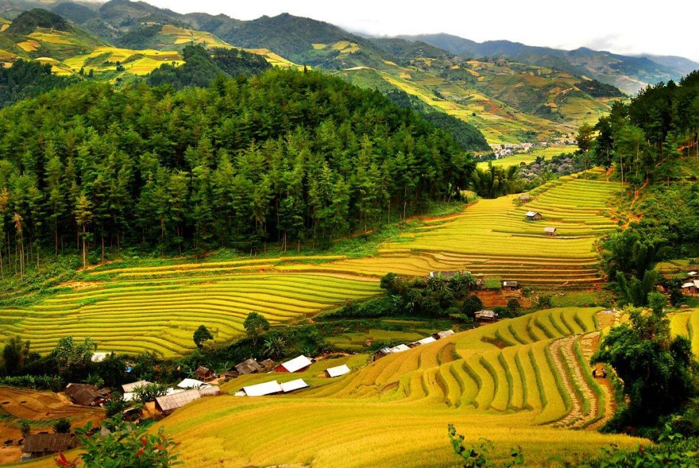 Pu Luong Offbeat Trekking 2 Days 1 Night Tour | ®ExcursionMania