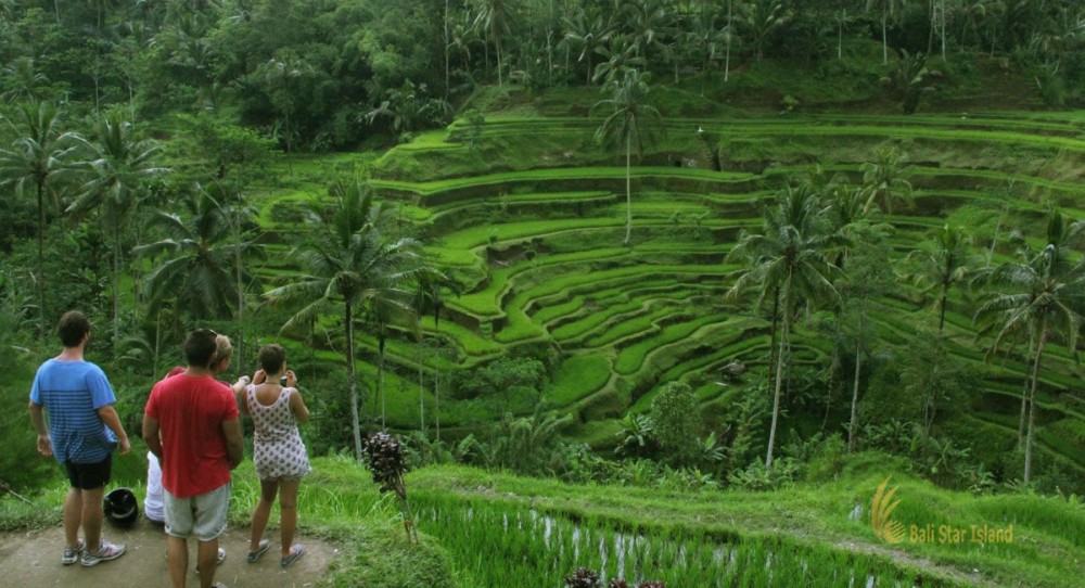Pick 5 Destinations: Customized Ubud Tour | ®ExcursionMania