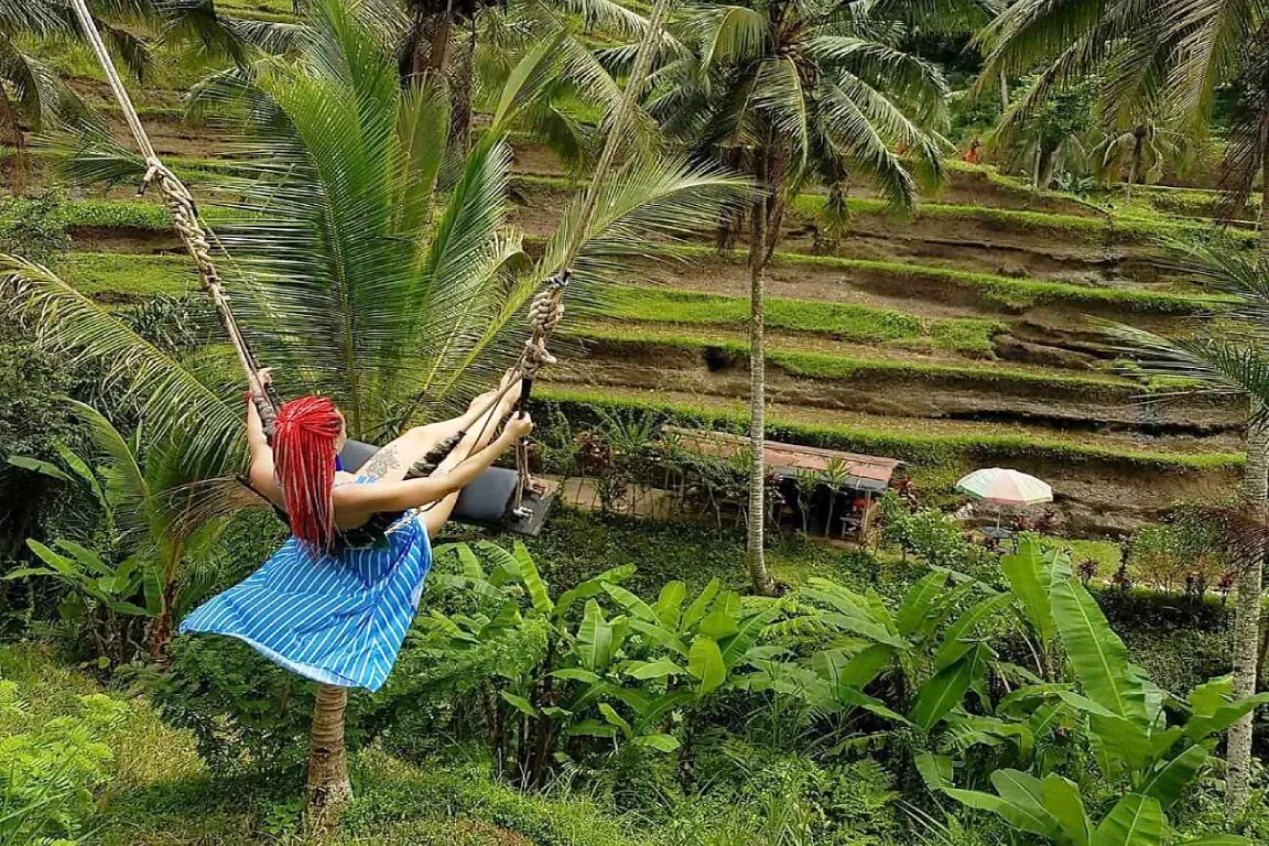 Pick 5 Destinations: Customized Ubud Tour | ®ExcursionMania
