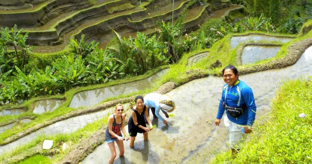 Pick 5 Destinations: Customized Ubud Tour | ®ExcursionMania