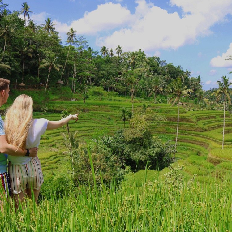 Pick 5 Destinations: Customized Ubud Tour | ®ExcursionMania