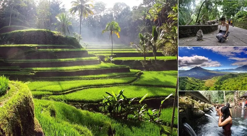 Pick 5 Destinations: Customized Ubud Tour | ®ExcursionMania