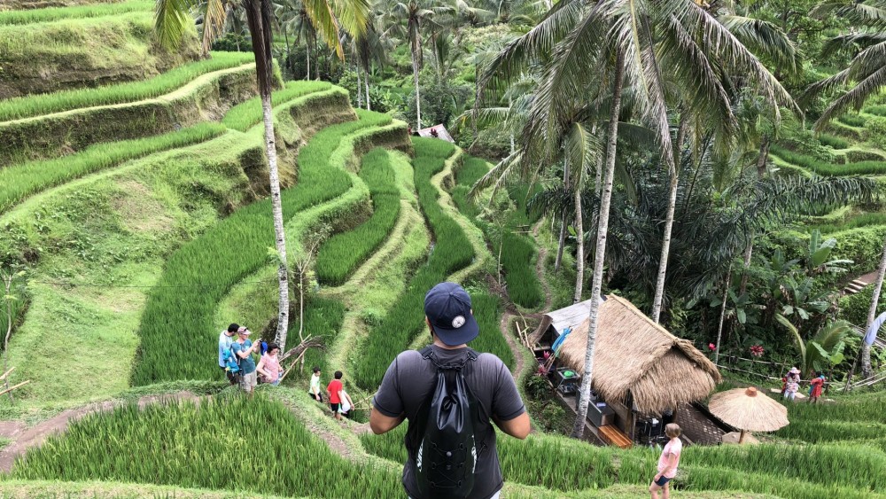 Pick 5 Destinations: Customized Ubud Tour | ®ExcursionMania