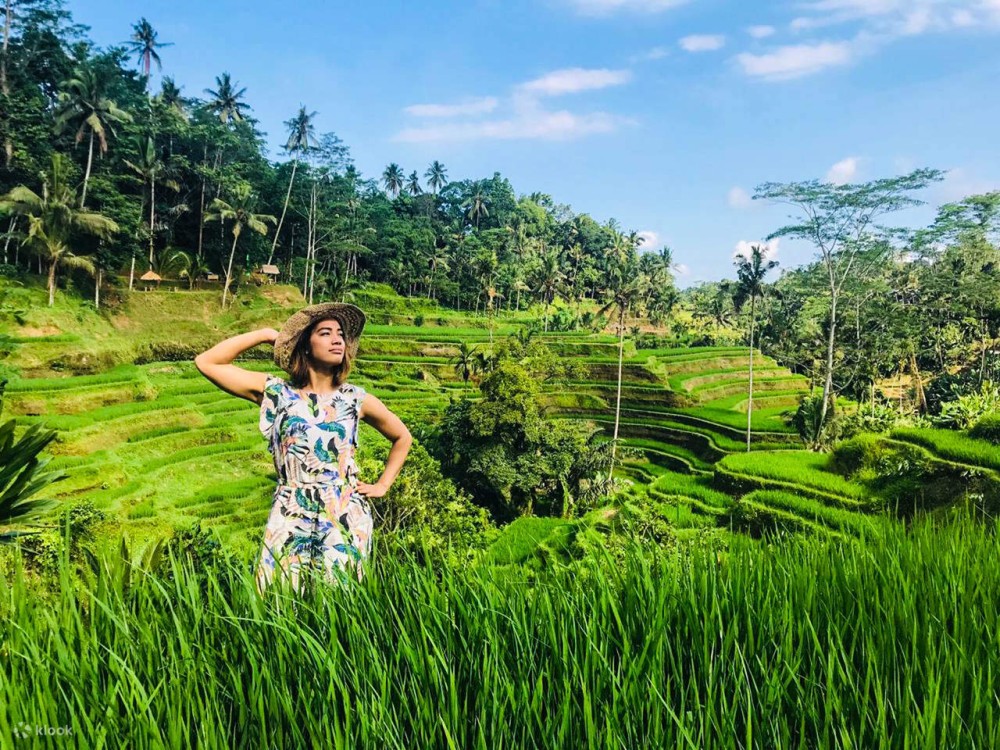 Pick 5 Destinations: Customized Ubud Tour | ®ExcursionMania
