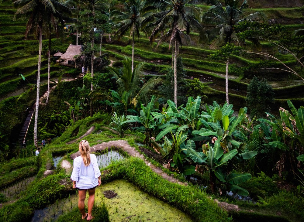 Pick 5 Destinations: Customized Ubud Tour | ®ExcursionMania