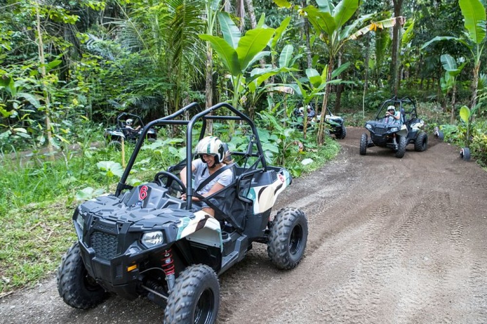 Jungle Buggy Adventure and Ubud Tour | ®ExcursionMania