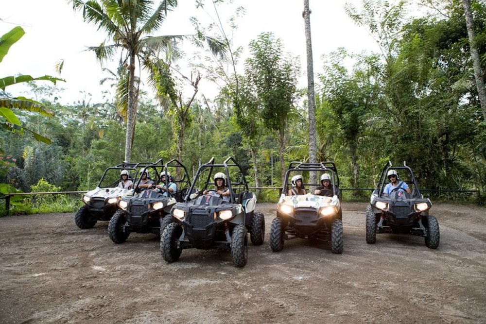 Jungle Buggy Adventure and Ubud Tour | ®ExcursionMania