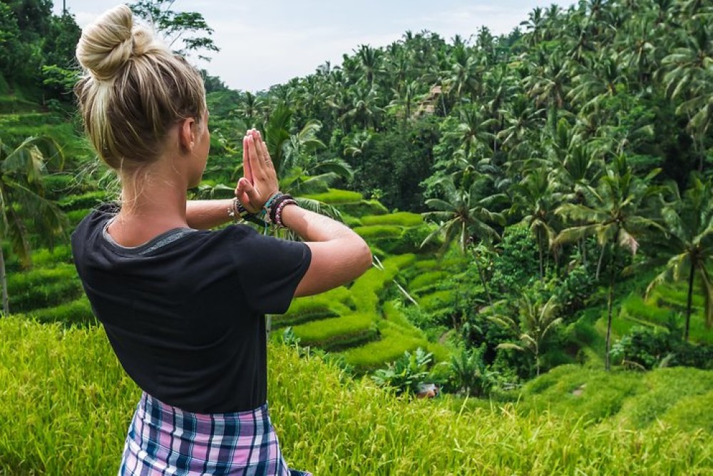 Bali Full Day Tour: Highlights of Ubud and Hidden Waterfall | ®ExcursionMania