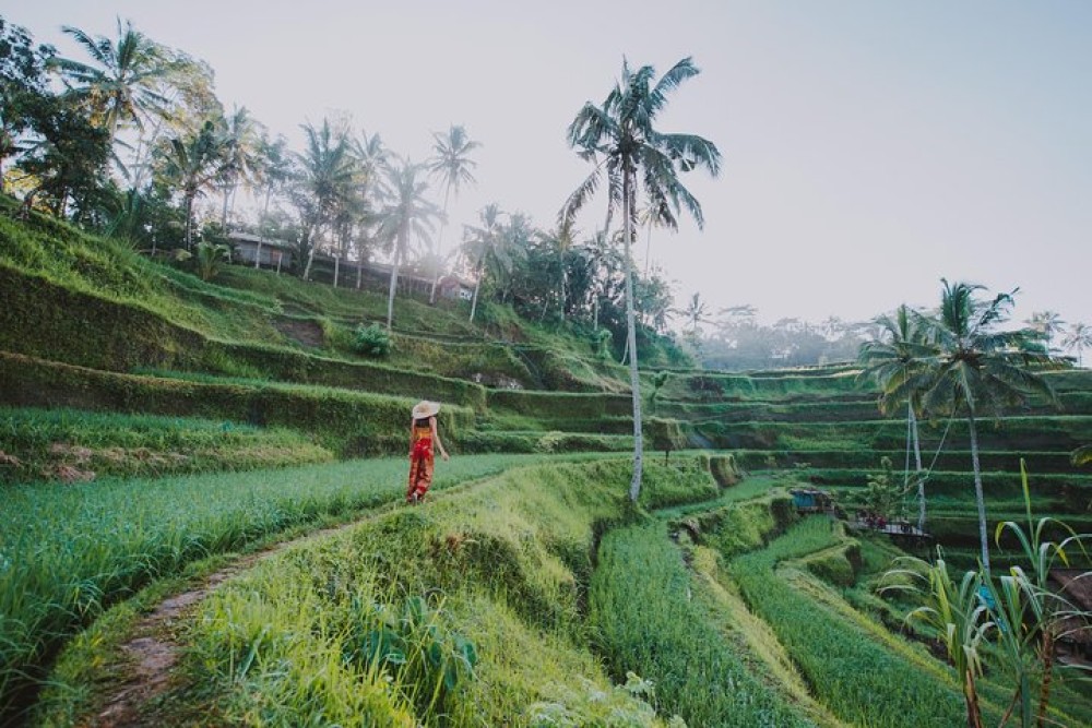 Private Tour: Ubud Highlights | ®ExcursionMania