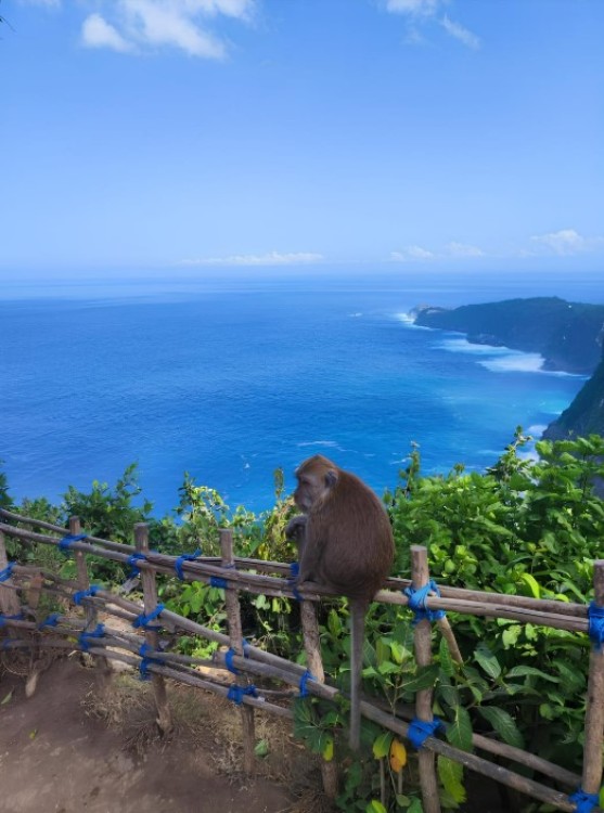 All Inclusive Nusa Penida Private Tour | ®ExcursionMania