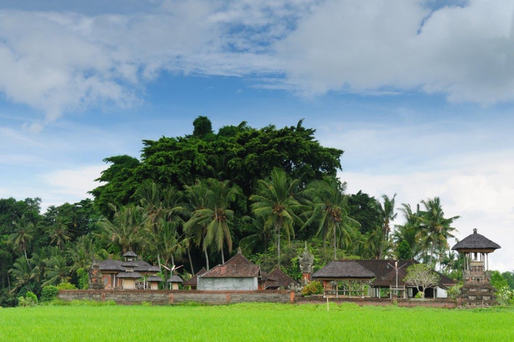 Private Experience: Bali Village Tour | ®ExcursionMania