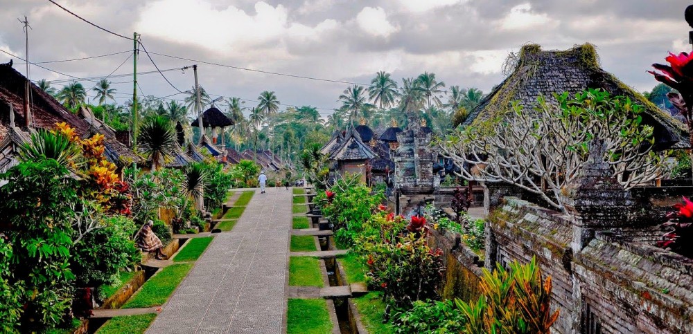 Private Experience: Bali Village Tour | ®ExcursionMania