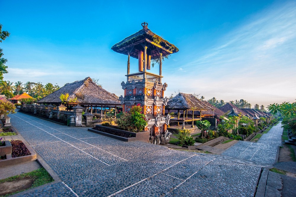 Private Experience: Bali Village Tour | ®ExcursionMania