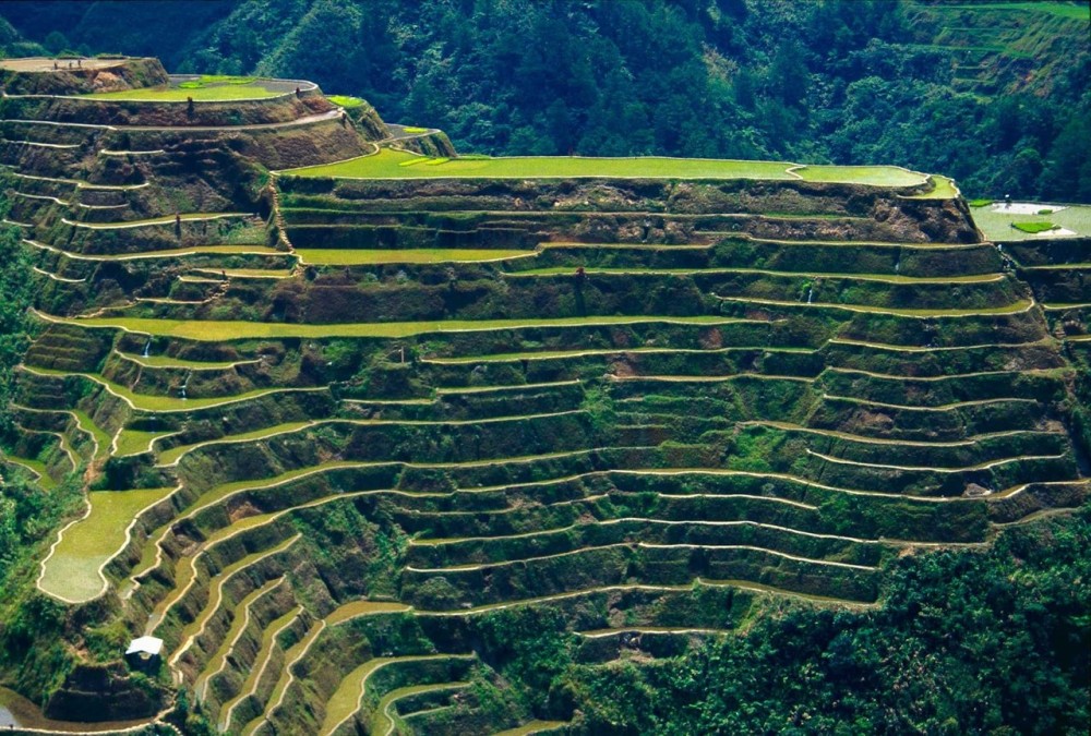 Discover Hidden Waterfall, Unesco Rice Terraces and Mountain Temple | ®ExcursionMania