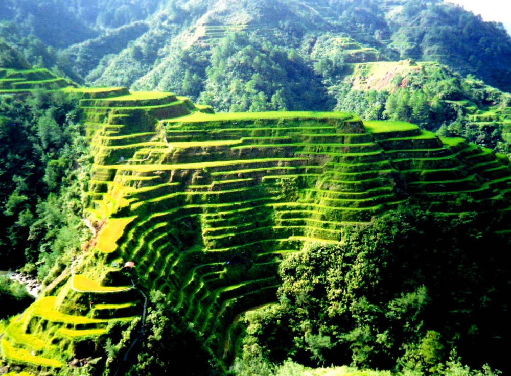 Discover Hidden Waterfall, Unesco Rice Terraces and Mountain Temple | ®ExcursionMania